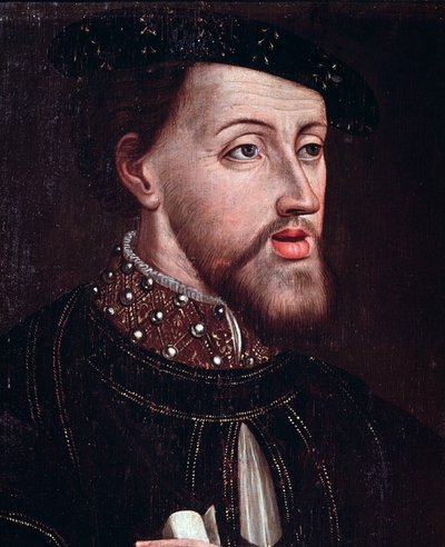 Portrét císaře Karla V. (1500-1558) Detail Anonymní obraz Francouzské školy 16. století Chantilly musee Conde od French School