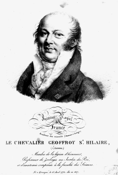 Portrét Etienna Geoffroy Saint-Hilaire (1722-1844) od French School