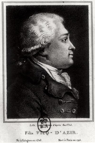 Portrét Felixe Vicqa dAzyra (1748-94) od French School