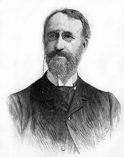 Portrét Francoise Clementa Theodora Duboise (1837 - 1924) francouzského skladatele. od French School