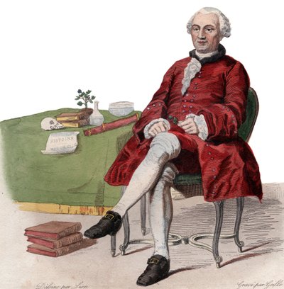 Portrét Georges Louis Leclerc, hrabě de Buffon (1707-1788), francouzský přírodovědec. od French School