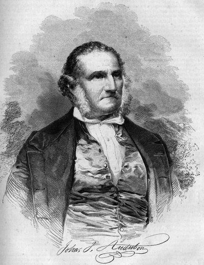 Portrét Johna Jamese Audubona (1780-1851), amerického ornitologa. Gravírování v „“Le Magasin malebné““ od French School