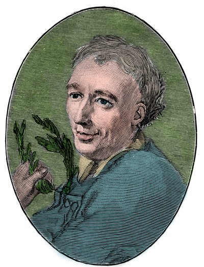 Portrét Laurence Eusdena (1688-1730) anglický básník. od French School