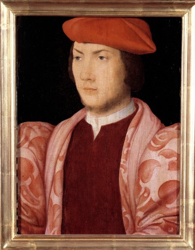 Portrét Odeta de Coligny, kardinála z Chatillonu v roce 1534 (syn Gasparda de Coligny, Marechala z Francie a bratr admirála Gasparda de Coligny) (1517-1571) kolem roku 1535 Malba francouzské školy 16. století. Ztlumit. 0,32x0,23m. Versaille od French School