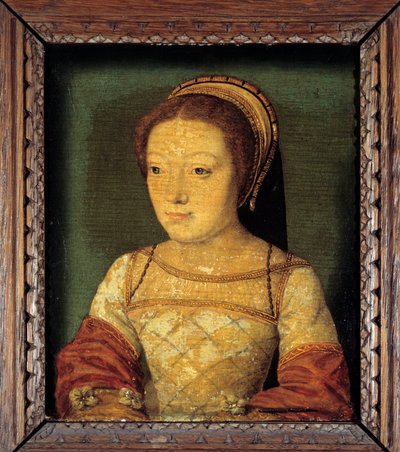 Portrét Renée z Francie, dcery Ludvíka XII., vévodkyně z Ferrary (1510 - 1575). Olej na dřevě, 0,16 x 0,13 m. anonymní malba. Francouzská škola 16. století. od French School