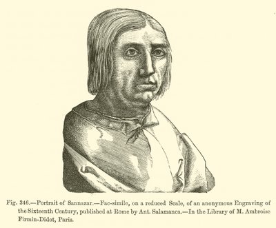 Portrét Sannazara (rytina) od French School