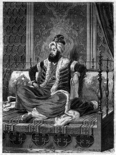 Portrét Selima III. (1761-1808), osmanského císaře. Selim III byl sultán v letech 1789-1807 - Le sultan Selim III (1761-1808) - v „Dějinách impéria po historii konzulátu“ od Adolphe Thierse -1879 - soukromá sbírka od French School