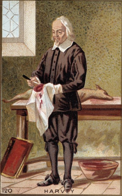 Portrét Williama Harveyho (1578-1657), anglického lékaře. od French School