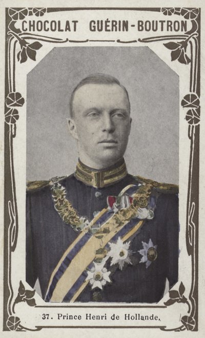 Princ Henry z Holandska (barevná fotografie) od French School