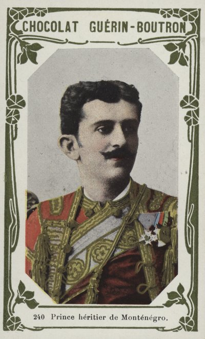 Prince Heritier de Montenegro (barevná fotografie) od French School