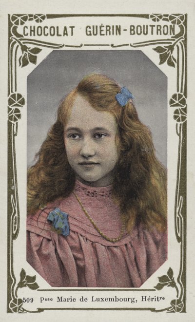 Princezna Marie Lucemburská, dědička (barevné foto) od French School