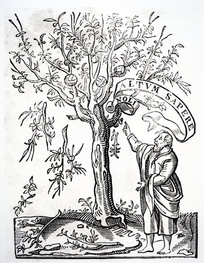 Tiskařský znak Roberta Estienna, Paříž, 1526 od French School