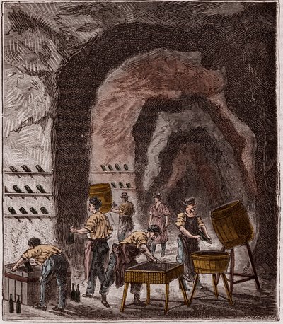 Výroba šampaňského – Fabrication du Champagne – Rytina „Vědy dostupné všem – fyzika a chemie““ od Alexise Clerca – Konec 19. století – Soukromá sbírka od French School