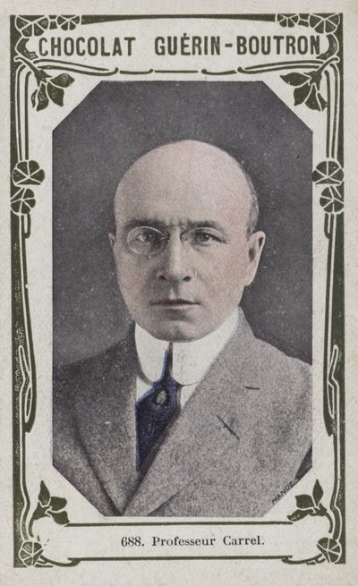Profesor Carrel (barevné foto) od French School