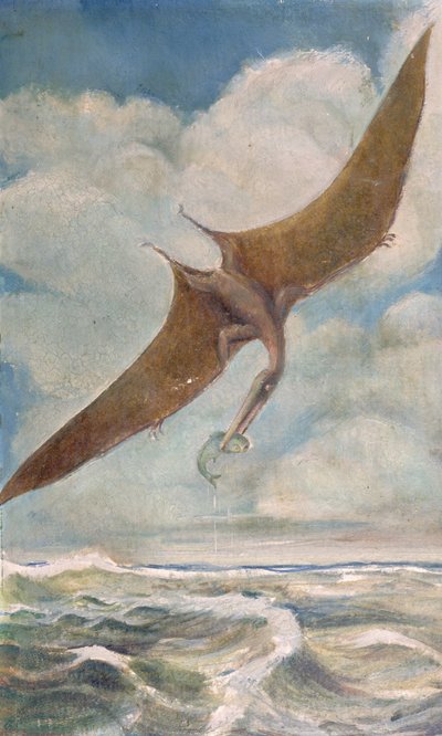 Pterodaktylový rybolov od French School