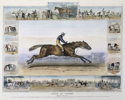 Závodní kůň v „“Malebné historii starověkého a moderního jezdectví““ od Charlese Aubryho od French School