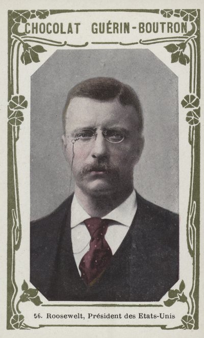 Roosevelt, prezident Spojených států (barevné foto) od French School