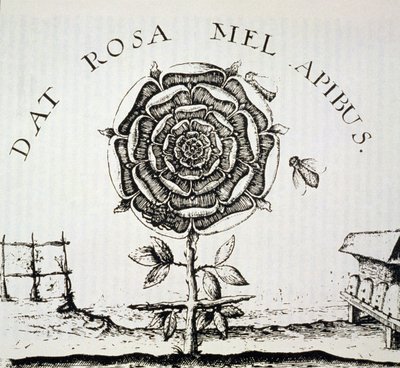 Rosekruciánská alegorie, kopie rytiny od Johanna Theodora de Bry (kolem roku 1598), použitá v Historii magie, publikované koncem 19. století od French School