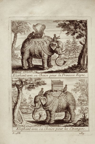 Královští sloni, z knihy Guy Tacharda Voyage du Siam des Peres Jesuites, 1688. od French School