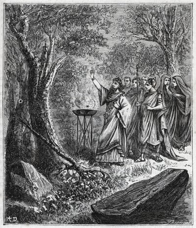 STRUFERTARI (slavnost ve starověkém Římě, aby očistila pobořené stromy) - Rytina v „“ Vědy, které jsou dostupné všem – populární fyzika a chemie““ od Alexise Clerca – Konec 19. století. Soukromá sbírka. od French School