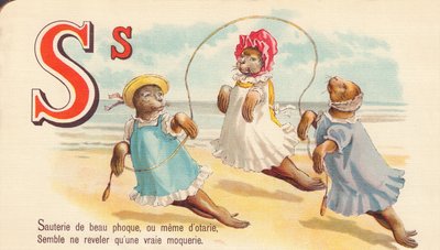 S: Sauté z krásné tuleně, nebo dokonce z tuleňů, zdá se odhaluje jen skutečný výsměch od French School
