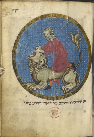 Samson a lev, ze severofrancouzského Miscellany, c.1280 (vellum) od French School