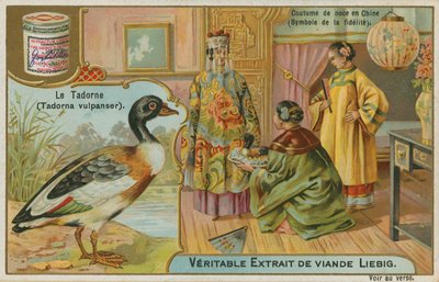 Shelduck; nabízený jako svatební dar v Číně, kde je považován za symbol věrnosti od French School