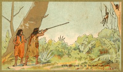 Jihoameričtí indiáni loví opice s foukačkami (chromolitho) od French School