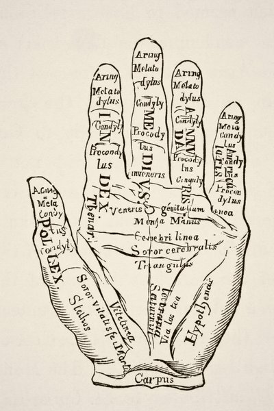 Ukázka levé ruky s čarami a jejich horoskopickými označeními, z knihy Věda a literatura ve středověku od Paula Lacroix pub. Londýn 1878 od French School
