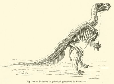Kostra hlavního iguanodona Bernissarta (rytina) od French School