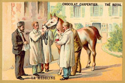 Odběr krve z koně (chromolitho) od French School