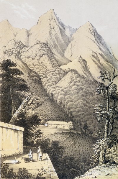 Čajové plantáže v čínské čtvrti zeleného čaje, převzato z knihy Cesta do čajových zemí Číny, poprvé publikované v roce 1852, Robert Fortune (1812-1880) od French School