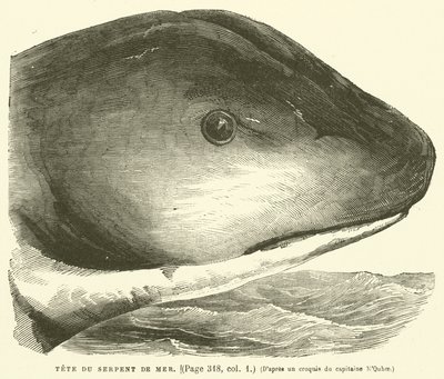 Tete Du Serpent De Mer od French School