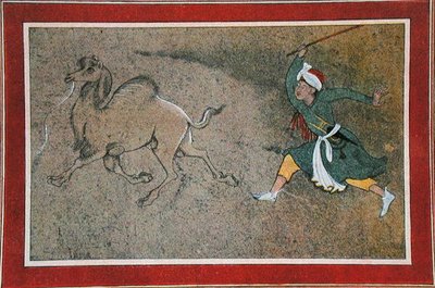 Rozzlobený velbloudář, ilustrace z "Arabských nocí od French School