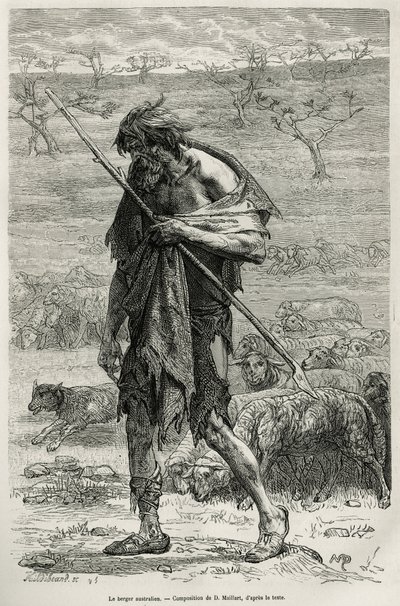 Australský ovčák, vyrytý podle kresby D. Maillarta, pro ilustraci příběhu šest měsíců v Austrálii, Desire Charnay, misijní úkol ministerstva veřejného školství, v roce 1878, publikovaný v tour du monde, pod vedením E od French School