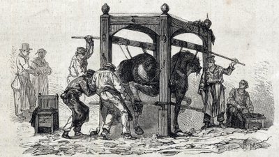 Národní veterinární škola Alfort - Les Grandes Ecoles de France - Veterinární škola v Maison Alfort v roce 1866 - Podkování neochotných koní - Rytina v „Le monde illustrious“ z roku 1866 od French School