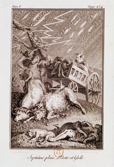 Mory Egypta: Mory nemocného dobytka, vředy a krupobití, z „Bible“ od Isaaca Lemaistre de Sacy (1613-84) od French School
