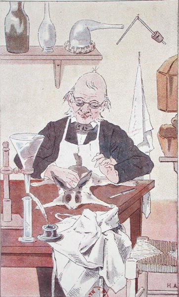Králík a mudrc, z knihy "Pour les Grands et les Petits", Charles Richet (1850-1935) Paříž od French School