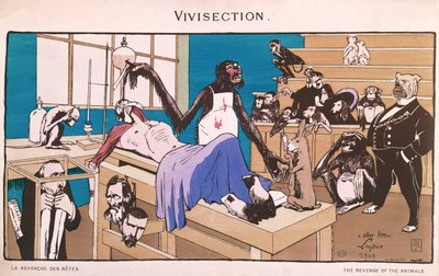 Pomsta zvířat, karikatura vivisekce, 1909 od French School