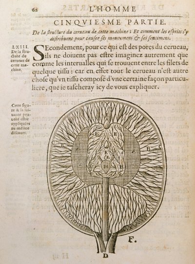 Struktura mozku, z De Homine Figuris od René Descartes (1596-1650), publikovaná v Haagu, 1662 od French School