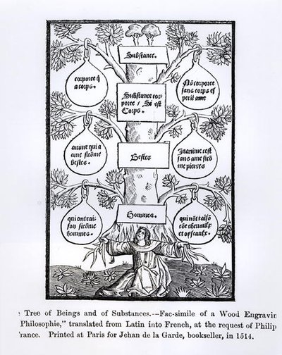 The Tree of Beings and Substance, tištěný v roce 1514, ilustrace z Vědy a literatury ve středověku a renesanci, napsal a vyryl Paul Lacroix, 1878 od French School