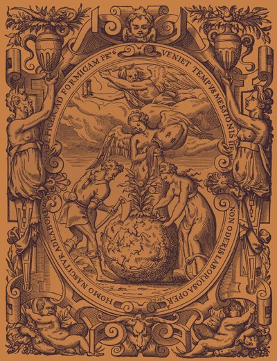 "Zelinné království" od French School
