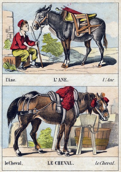 Osel a kůň. Rytina v „Buffon Alphabet des Animaux". 3. série N 1. Imaging of Epinal, Epinal, konec 19. století. 16 stran. Rozměr: 28x21cm od French School