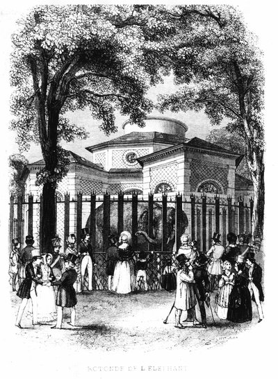 Rotunda slonů ze zahrady rostlin v Paříži - rytina od French School