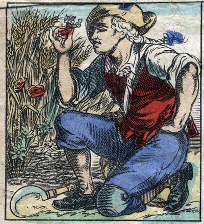 Obrovský pluh z Brobdingnagu se zmocnil Lemuela Gullivera. Ilustrace pro „“ Gulliver