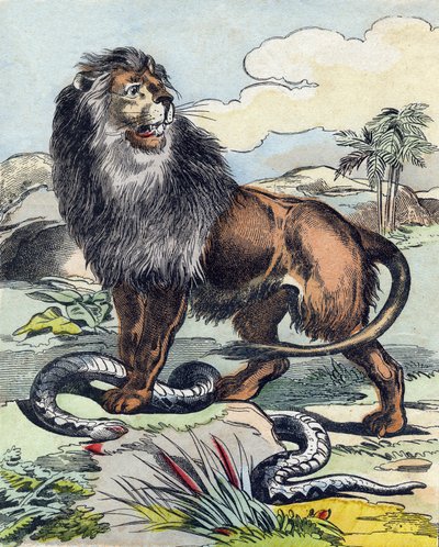 Lev. Rytina v „Buffon Alphabet des Animaux". 3. série N 1. Imaging of Epinal, Epinal, konec 19. století. 16 stran. Rozměr: 28x21cm od French School