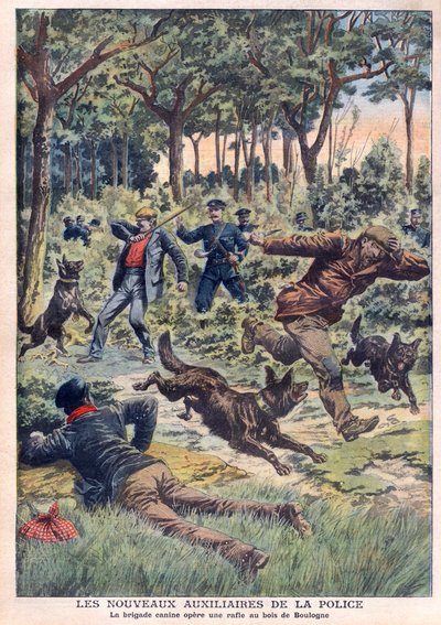Nové policejní pomocné jednotky: kynologická brigáda provozuje zátah v Bois de Boulogne, ilustrace z „Le Petit Journal“ z 28. července od French School