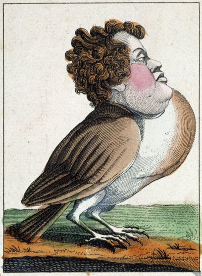 Holub v karikatuře, studie charakteru „volatile character“ sd. 19., populární snímky. od French School
