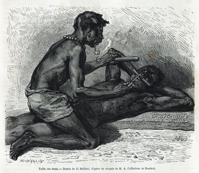 Velikost zubů v Okandě, kresba D. Maillarda, pro ilustraci příběhu o cestě do Gabonu a řeky Ogoue v letech 1875-1877 od Alfreda Marche. Rytina v Le tour du monde od French School
