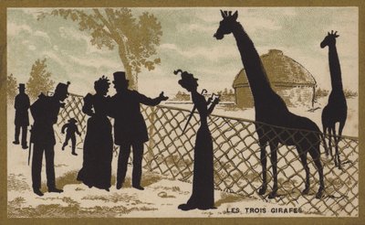 Tři žirafy (chromolitho) od French School